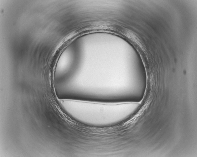 X0000060800781200511101418