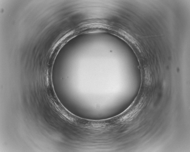 X0000060800782200511101418