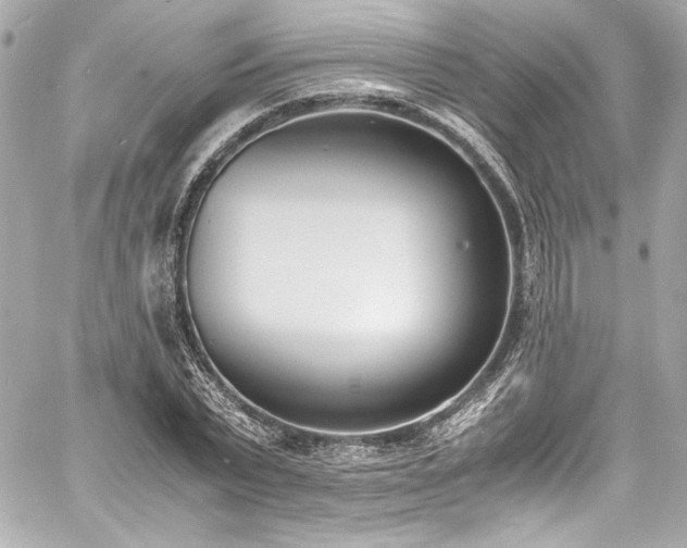 X0000060800783200511101418