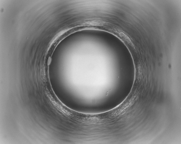 X0000060800784200511101418