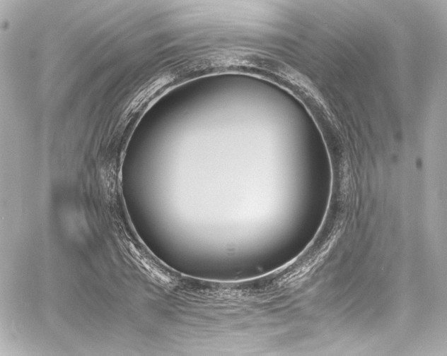 X0000060800785200511101418