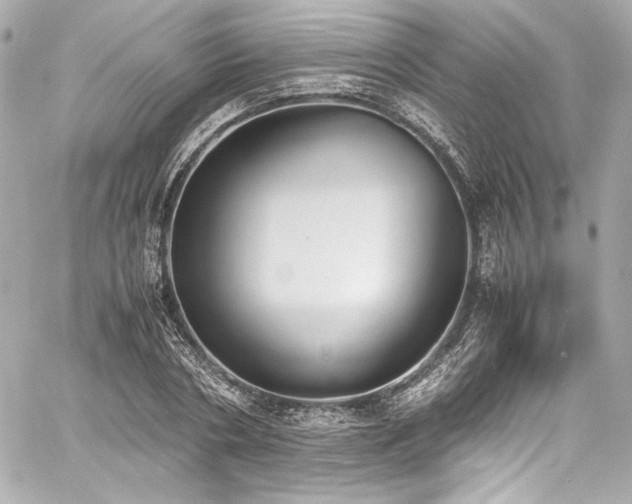 X0000060800786200511101418