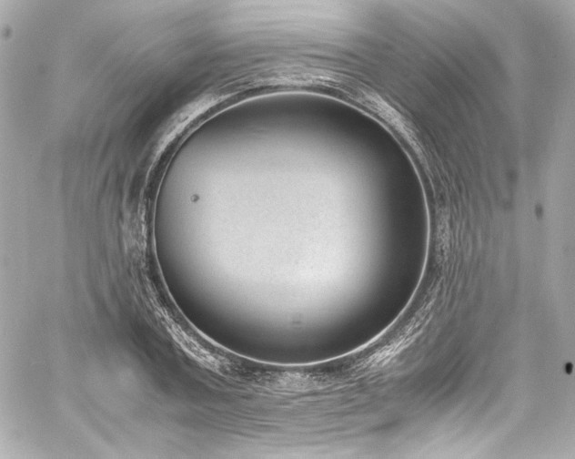 X0000060800787200511101418