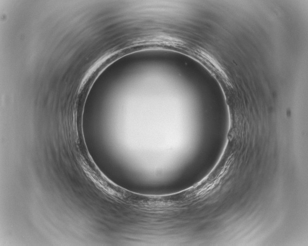 X0000060800788200511101418