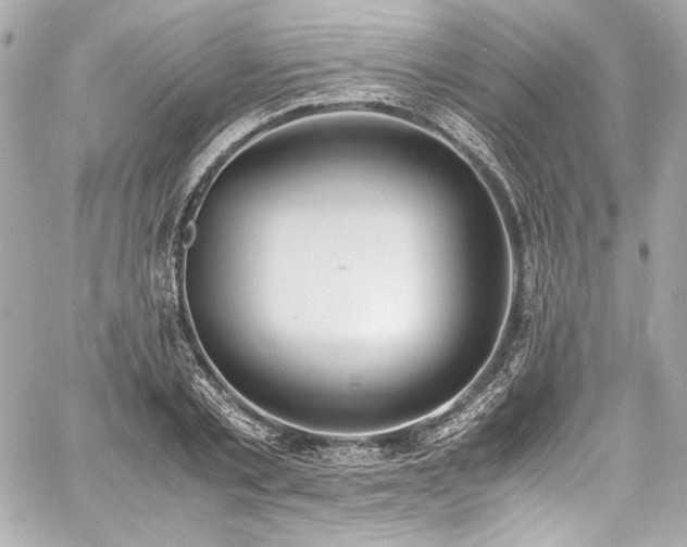 X0000060800789200511101418