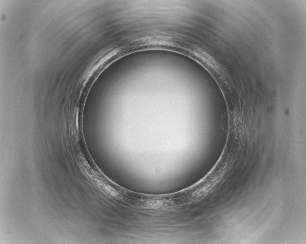 X0000060800790200511101418