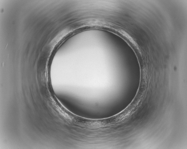 X0000060800791200511101418