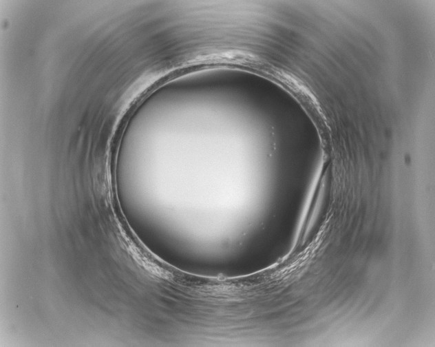 X0000060800792200511101418