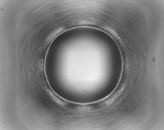 X0000060800793200511101418