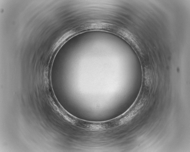 X0000060800794200511101418