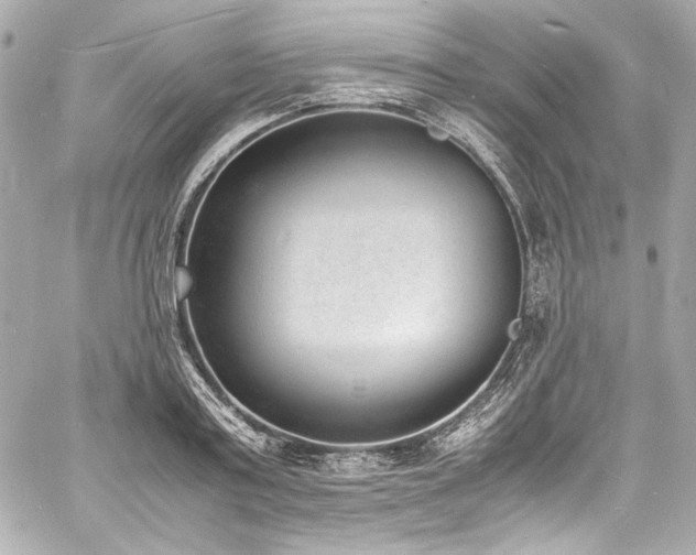 X0000060800795200511101418