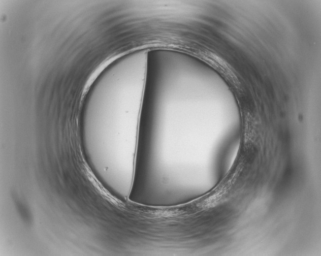 X0000060800796200511101418