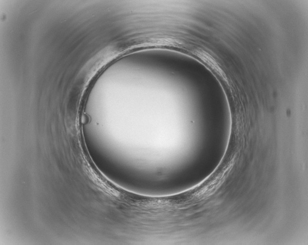 X0000060800797200511101418