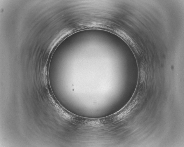 X0000060800798200511101418