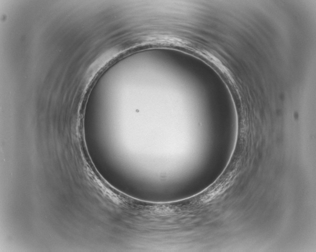 X0000060800799200511101417