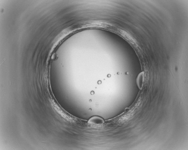 X0000060800800200511101417