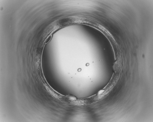 X0000060800801200511101417