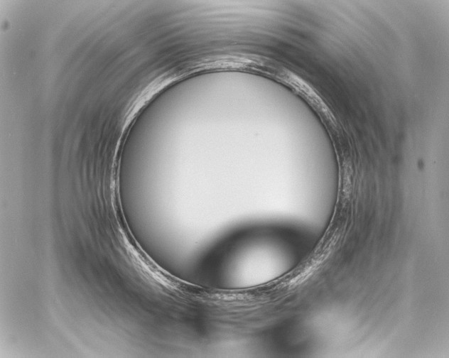 X0000060800802200511101417