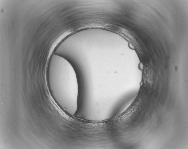 X0000060800804200511101417