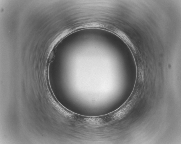 X0000060800805200511101417