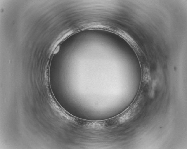 X0000060800806200511101417