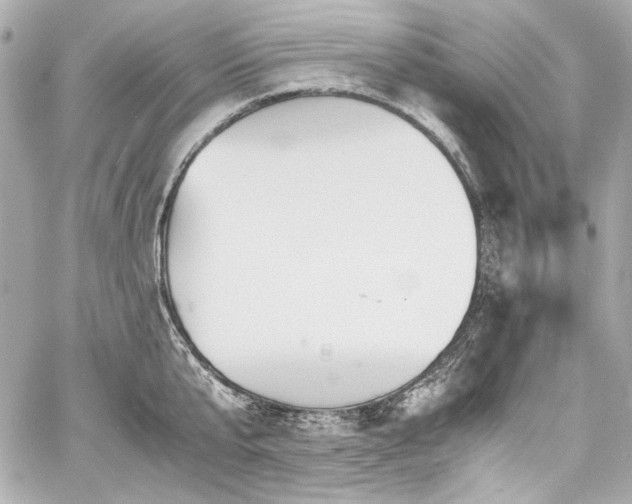 X0000060800807200511101417