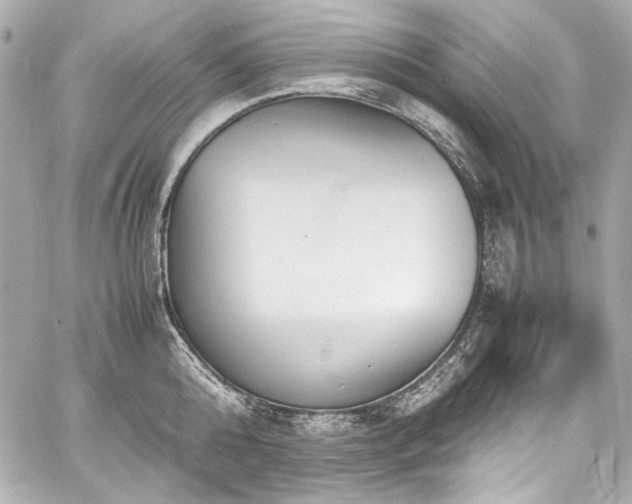 X0000060800808200511101417