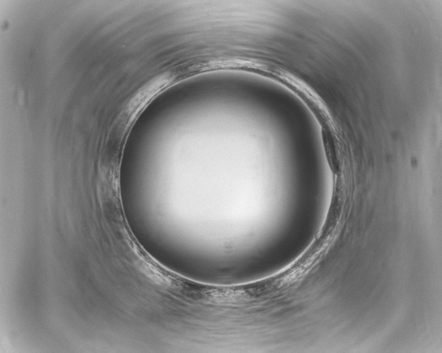 X0000060800809200511101417