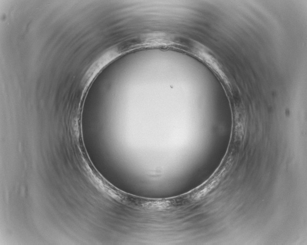 X0000060800810200511101417