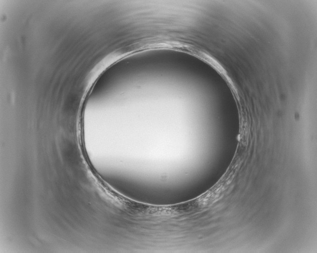 X0000060800811200511101417