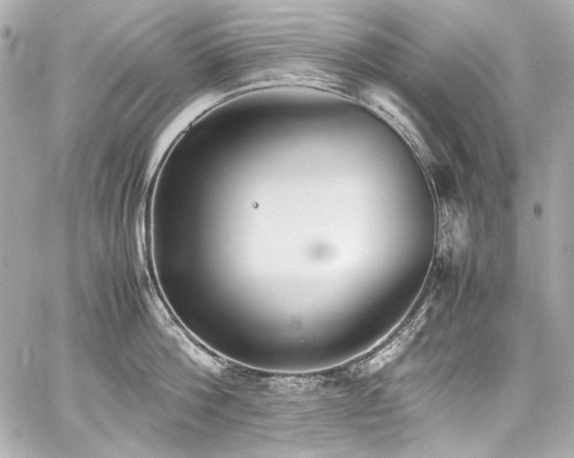 X0000060800812200511101417