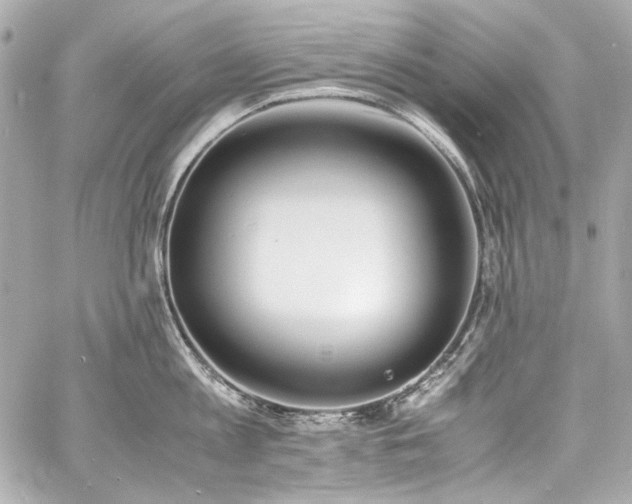 X0000060800813200511101417