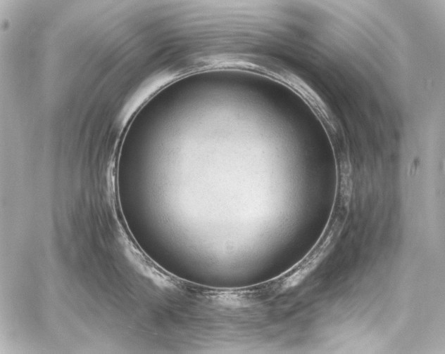 X0000060800814200511101417