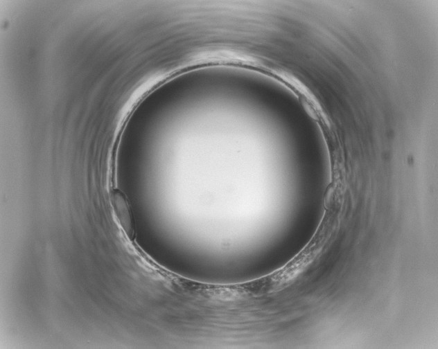 X0000060800815200511101417