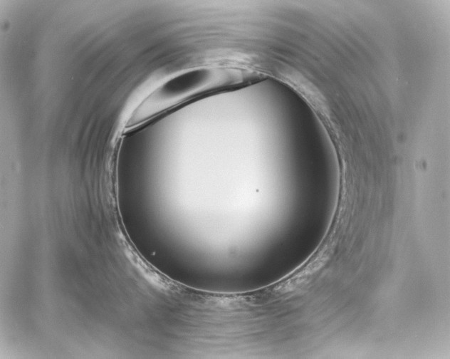 X0000060800816200511101417