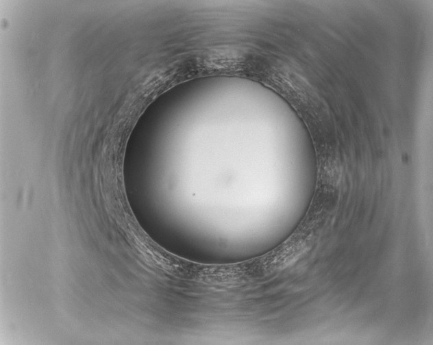 X0000060800817200511101416