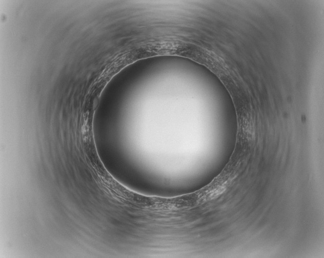 X0000060800818200511101416