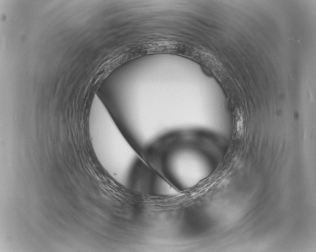 X0000060800819200511101416