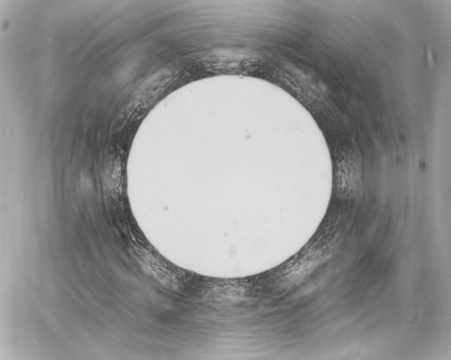 X0000060800820200511101416