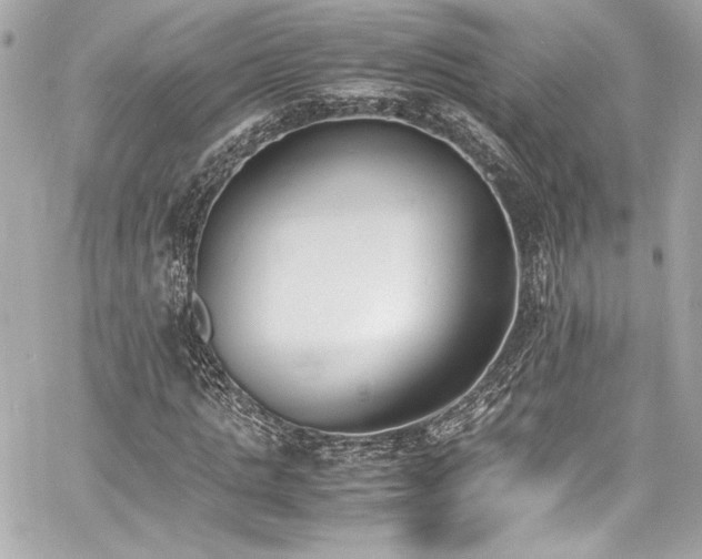 X0000060800821200511101416