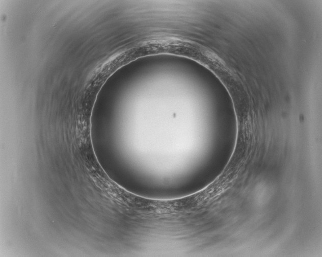 X0000060800822200511101416