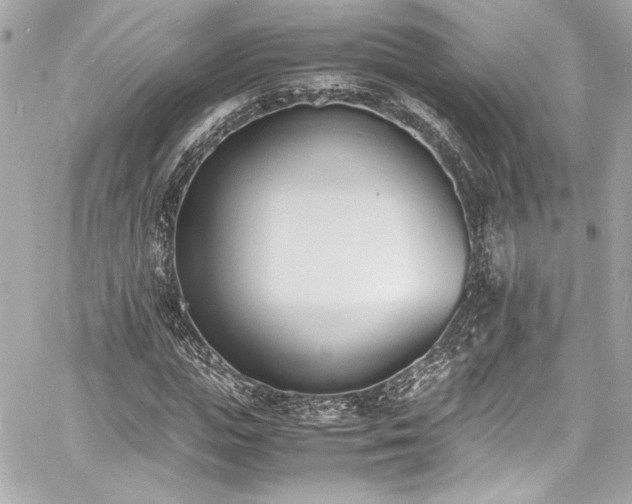 X0000060800823200511101416