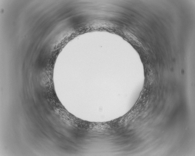 X0000060800824200511101417