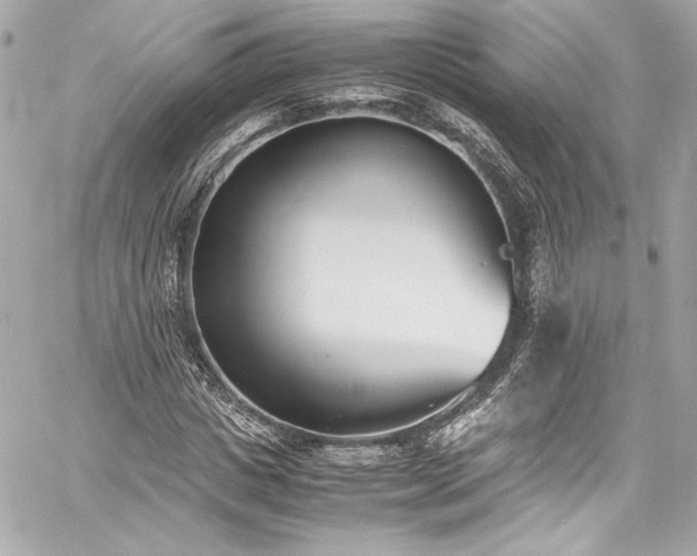 X0000060800825200511101417