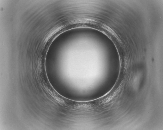 X0000060800826200511101417