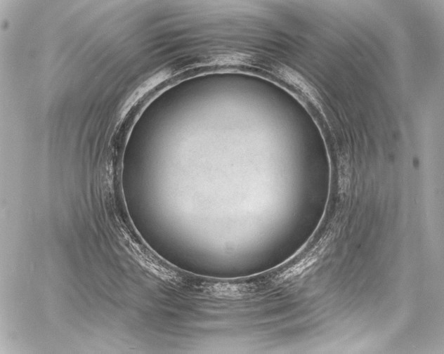 X0000060800827200511101417