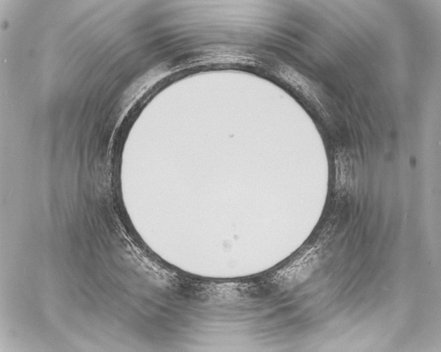 X0000060800828200511101417