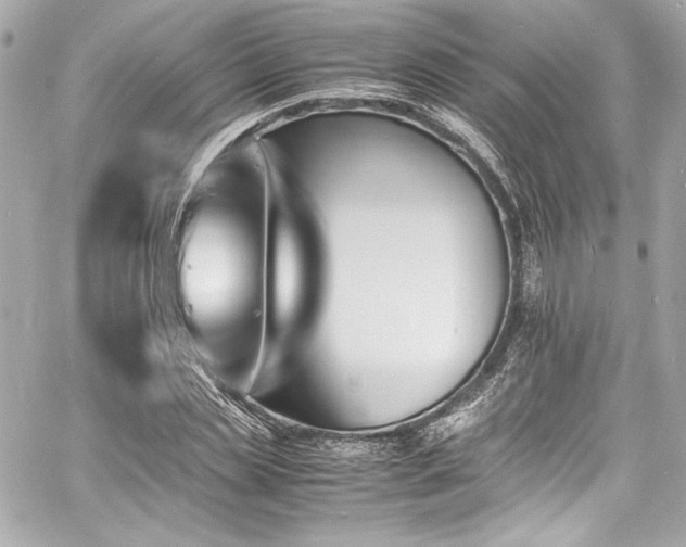 X0000060800829200511101417