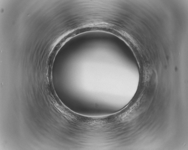 X0000060800830200511101417