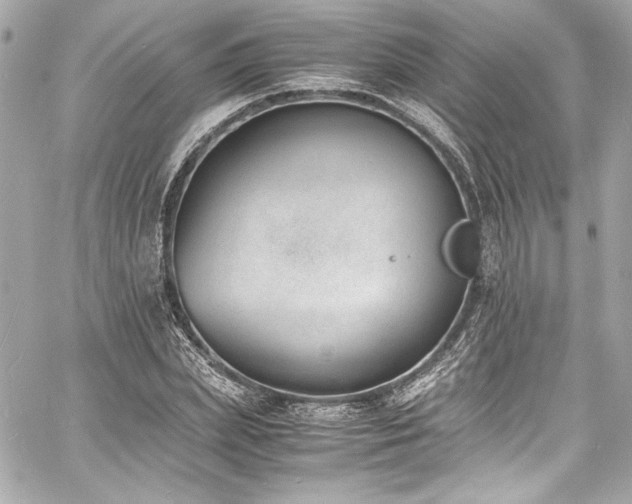 X0000060800831200511101417